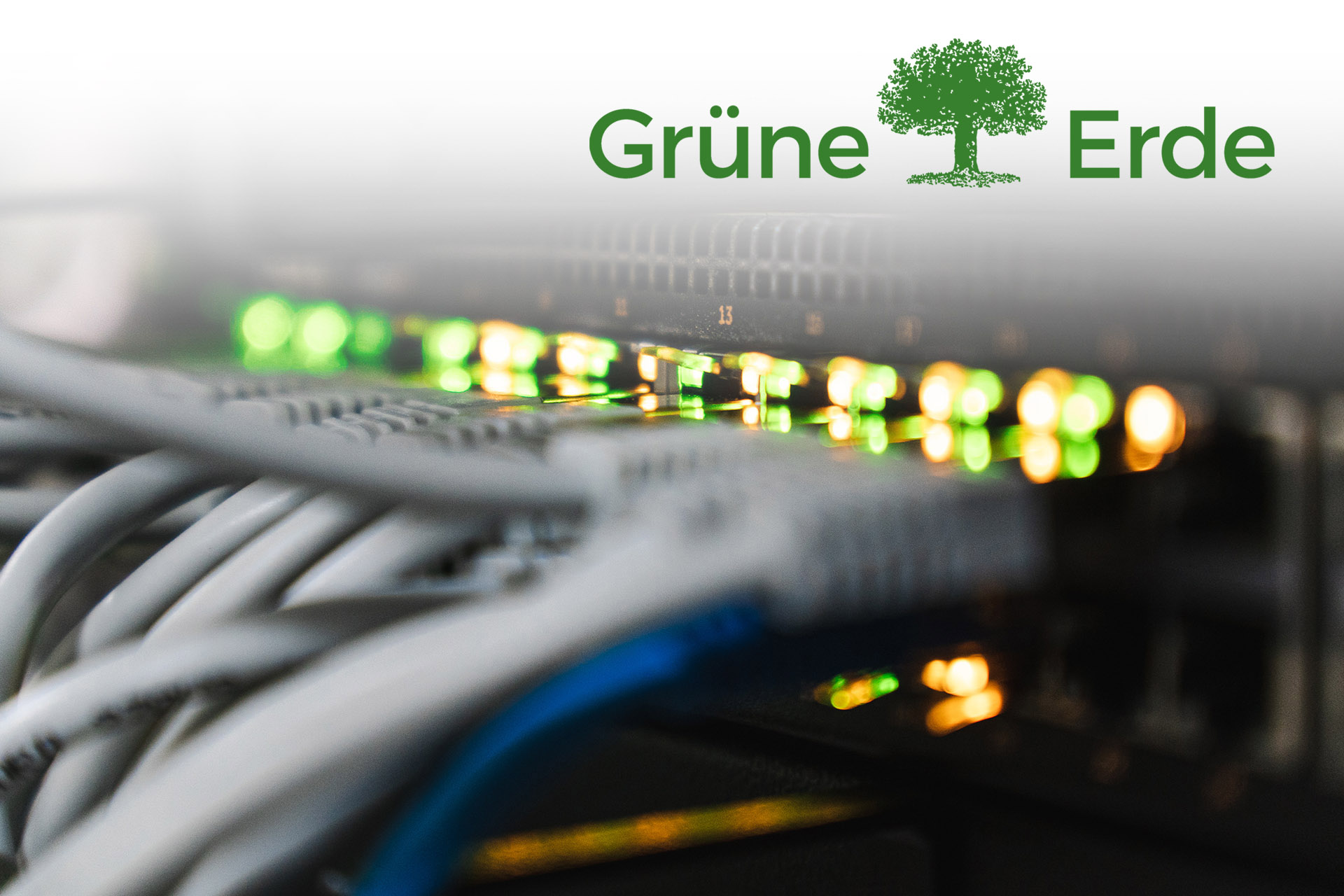 Grüne Erde Media Data IKT GmbH